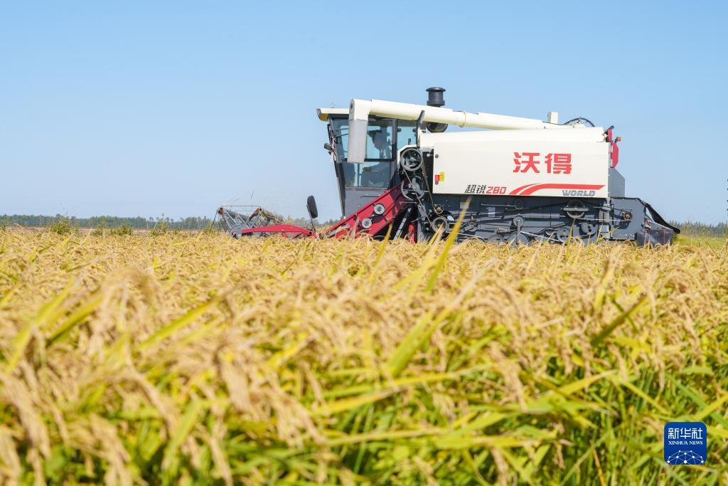 丽星邮轮lx88com
